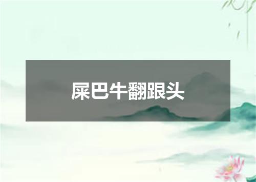 屎巴牛翻跟头