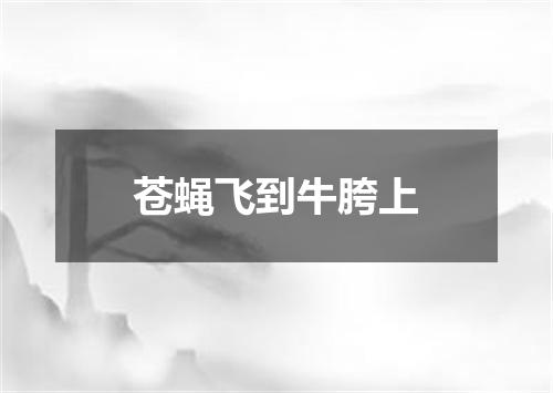 苍蝇飞到牛胯上