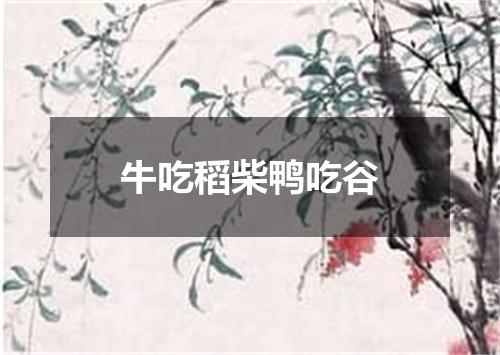 牛吃稻柴鸭吃谷
