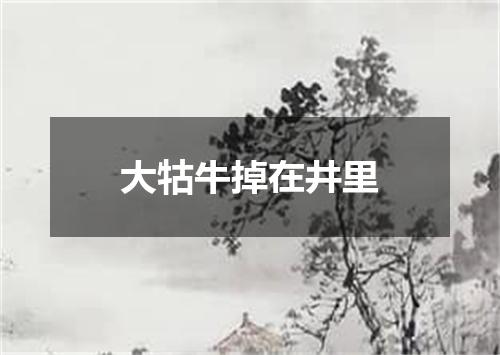 大牯牛掉在井里