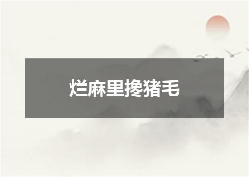 烂麻里搀猪毛