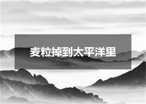 麦粒掉到太平洋里