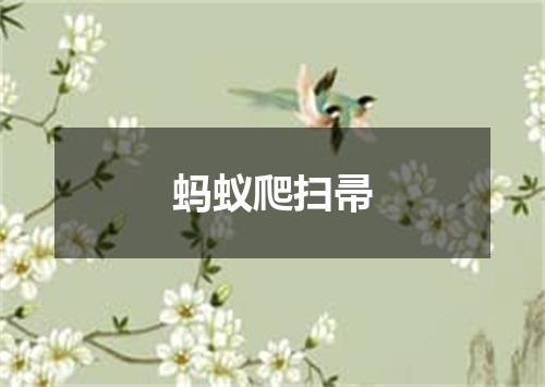 蚂蚁爬扫帚