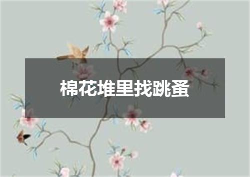 棉花堆里找跳蚤