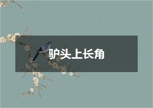 驴头上长角