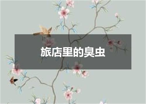 旅店里的臭虫