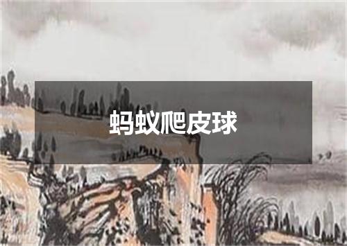 蚂蚁爬皮球