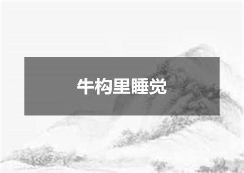 牛构里睡觉