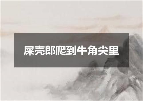 屎壳郎爬到牛角尖里