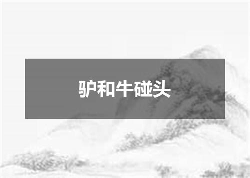 驴和牛碰头