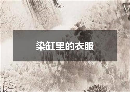 染缸里的衣服