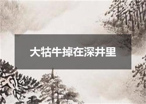 大牯牛掉在深井里