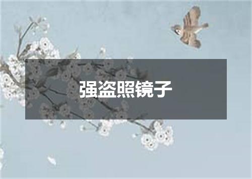 强盗照镜子
