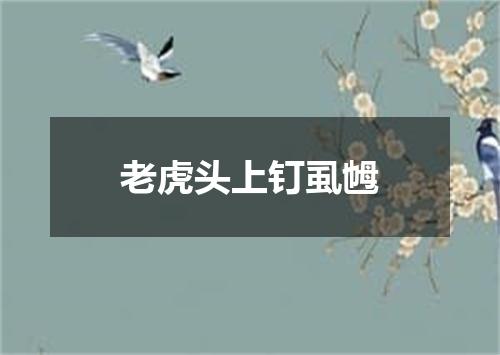 老虎头上钉虱乸