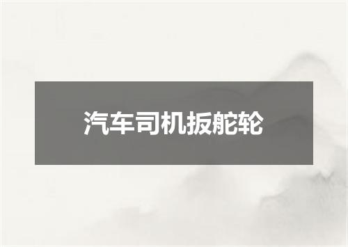 汽车司机扳舵轮