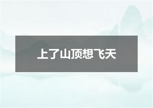 上了山顶想飞天