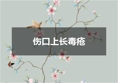 伤口上长毒疮