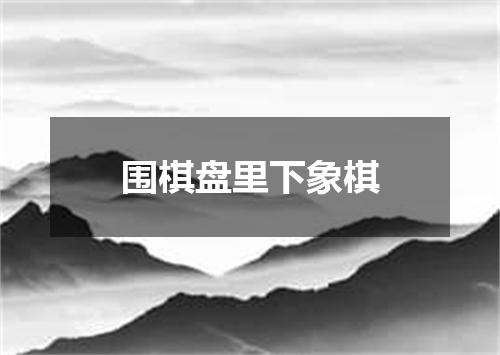 围棋盘里下象棋