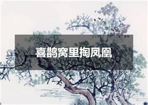 喜鹊窝里掏凤凰