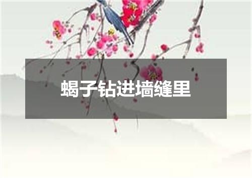 蝎子钻进墙缝里