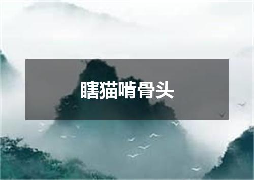 瞎猫啃骨头