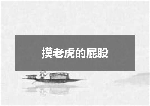 摸老虎的屁股