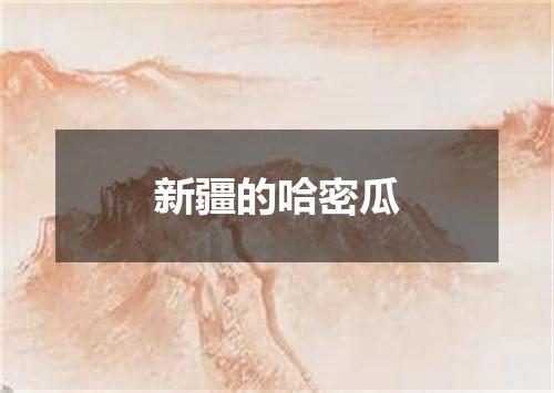 新疆的哈密瓜
