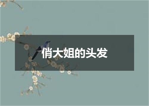 俏大姐的头发