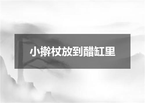 小擀杖放到醋缸里
