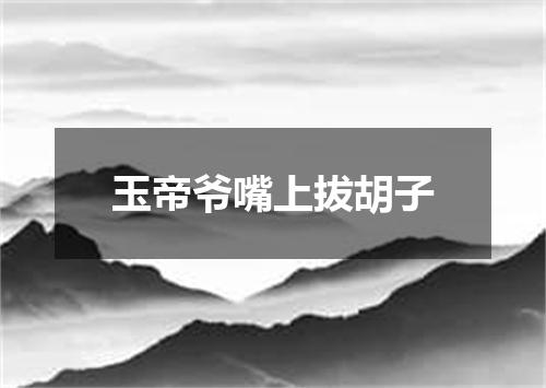玉帝爷嘴上拔胡子