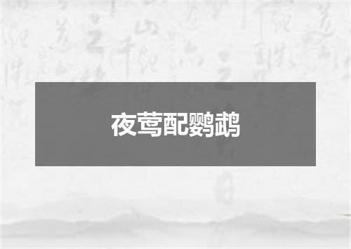 夜莺配鹦鹉