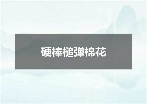 硬棒槌弹棉花