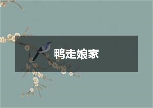 鸭走娘家