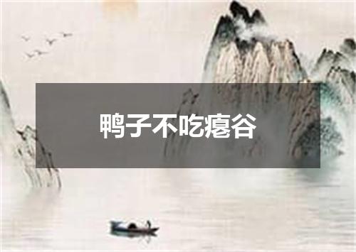 鸭子不吃瘪谷
