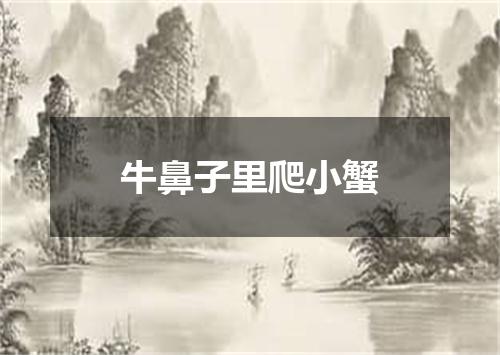 牛鼻子里爬小蟹