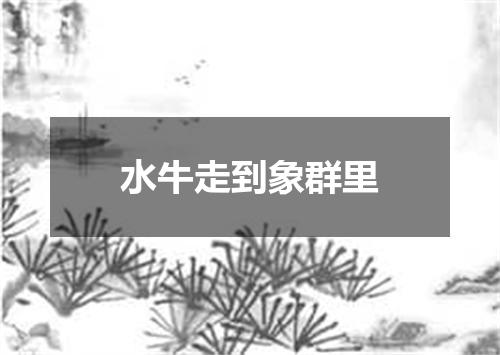 水牛走到象群里