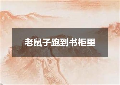 老鼠子跑到书柜里