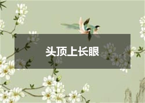 头顶上长眼