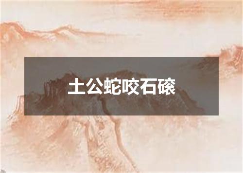土公蛇咬石磙