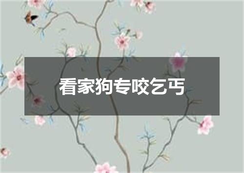 看家狗专咬乞丐