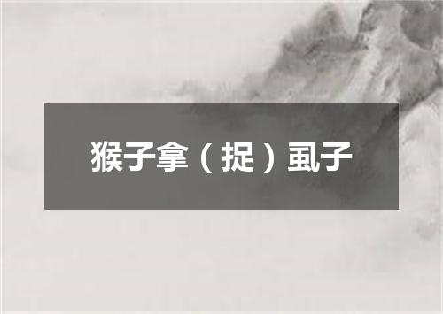 猴子拿（捉）虱子