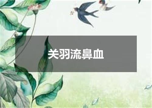 关羽流鼻血