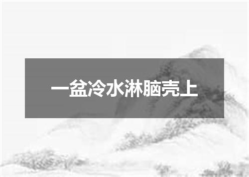 一盆冷水淋脑壳上