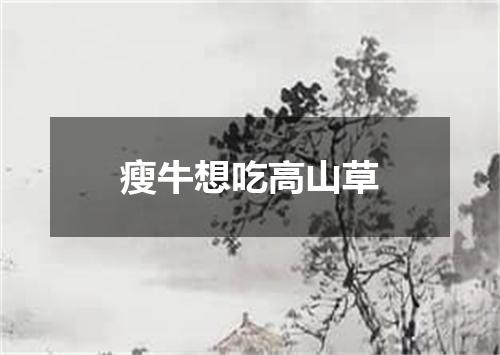 瘦牛想吃高山草