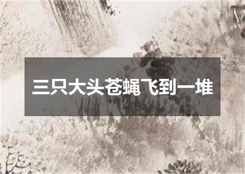 三只大头苍蝇飞到一堆