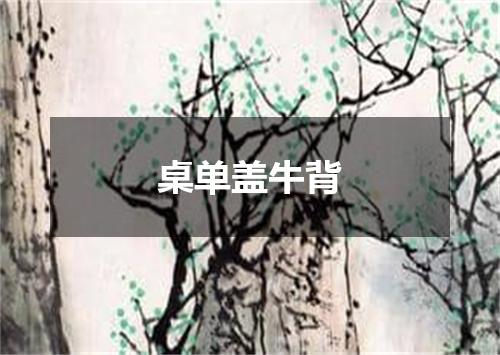 桌单盖牛背