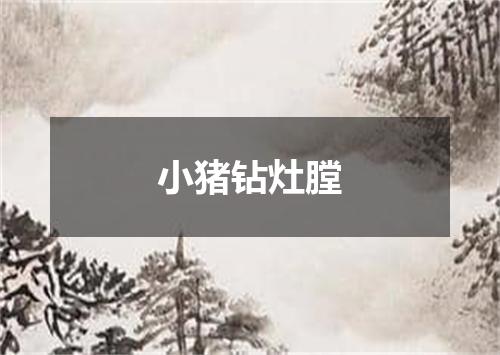 小猪钻灶膛