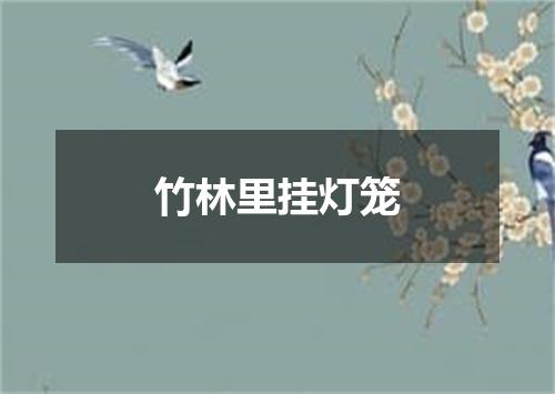 竹林里挂灯笼