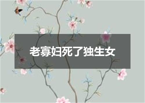老寡妇死了独生女