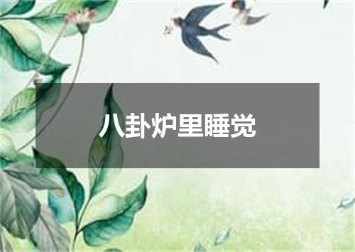 八卦炉里睡觉